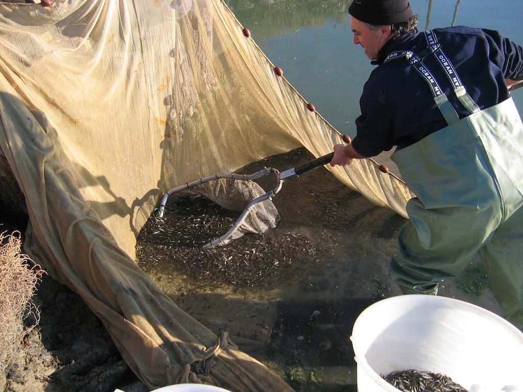La Barena Alloggio per agriturismo Jesolo
