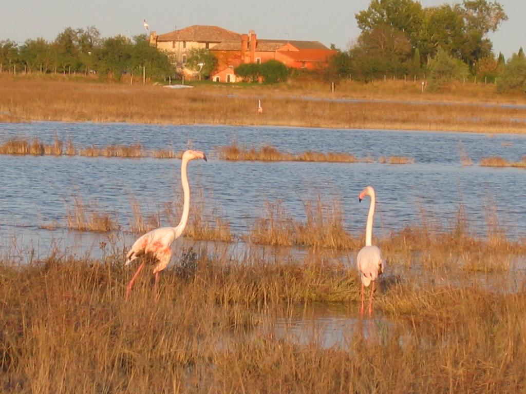 Alloggio per agriturismo La Barena *