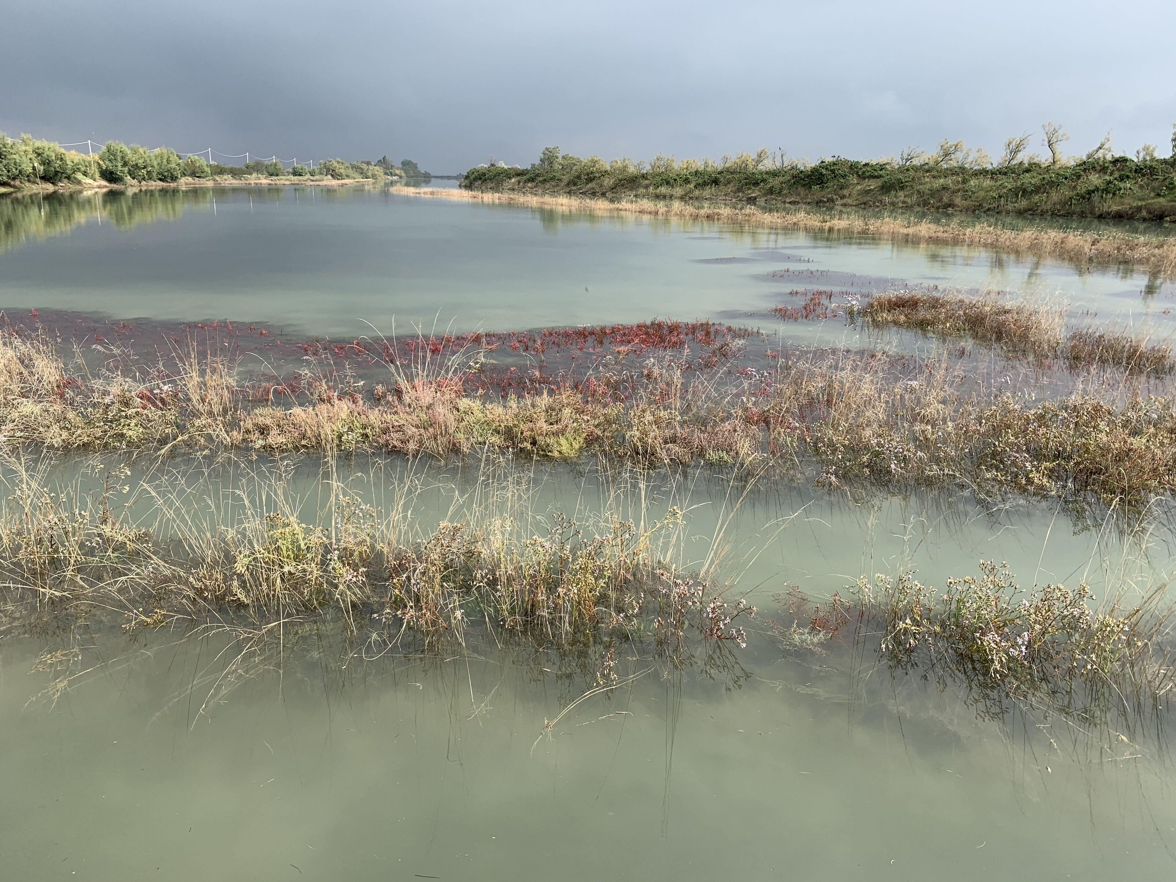 La Barena Alloggio per agriturismo