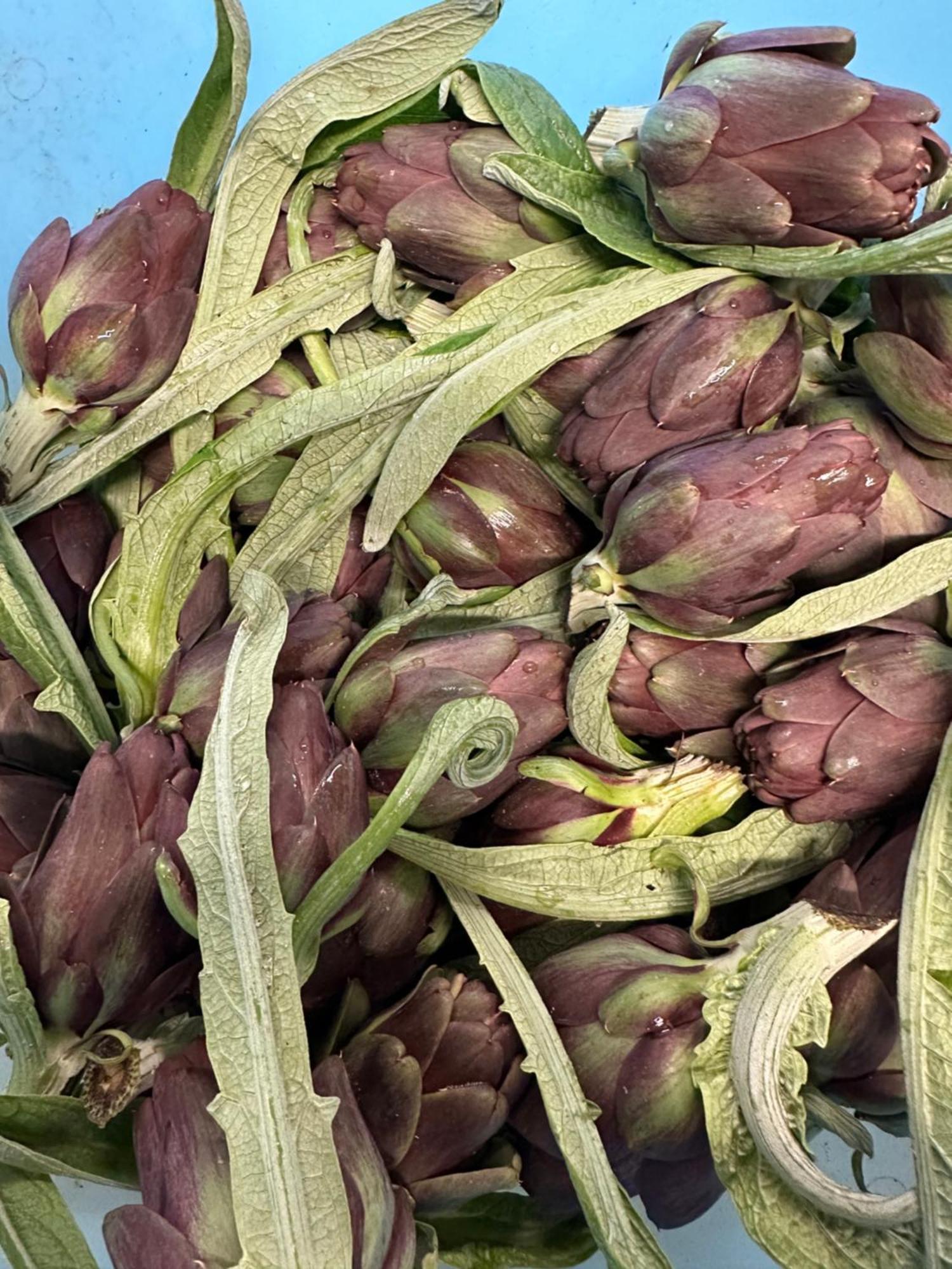 Bauernhof La Barena *